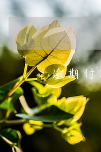 逾期付款违约金及罚息 逾期付款违约金及罚息