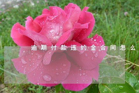 逾期付款违约金合同怎么写 逾期付款违约金合同怎么写
