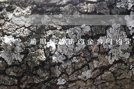 逾期付款违约金合同约定条款
