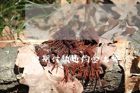 逾期付款违约金名称 逾期付款违约金名称