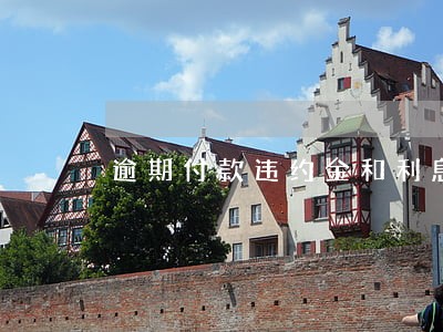 逾期付款违约金和利息吗 逾期付款违约金和利息吗