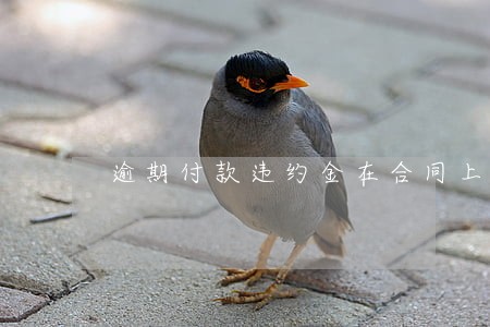 逾期付款违约金在合同上如何约定 逾期付款违约金在合同上如何约定
