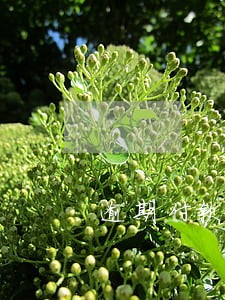 逾期付款违约金如何查询 逾期付款违约金如何查询