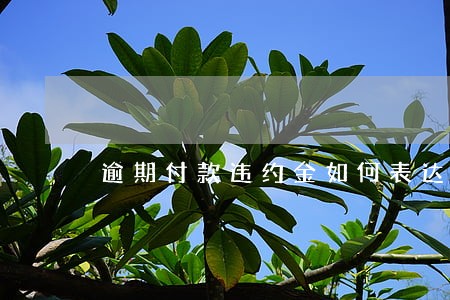 逾期付款违约金如何表达 逾期付款违约金如何表达