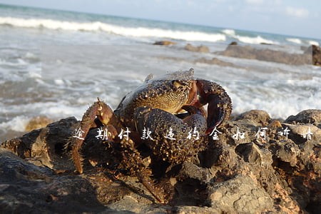 逾期付款违约金如何诉请 逾期付款违约金如何诉请