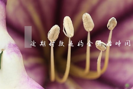 逾期付款违约金开始时间