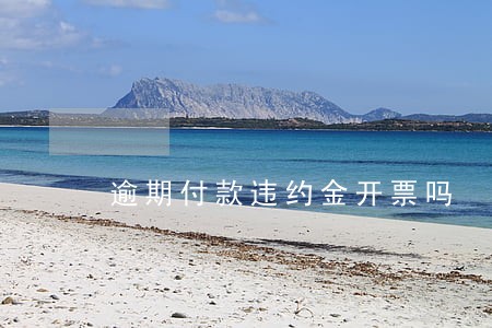 逾期付款违约金开票吗 逾期付款违约金开票吗