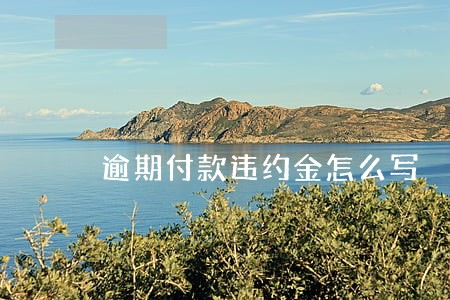 逾期付款违约金怎么写 逾期付款违约金怎么写