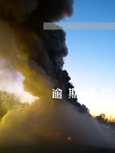 逾期付款违约金怎么办