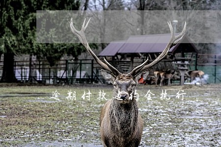 逾期付款违约金执行 逾期付款违约金执行