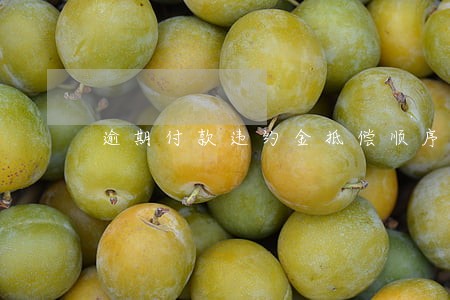 逾期付款违约金抵偿顺序 逾期付款违约金抵偿顺序