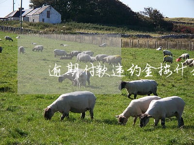 逾期付款违约金按什么比例 逾期付款违约金按什么比例
