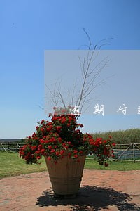 逾期付款违约金按什么算 逾期付款违约金按什么算