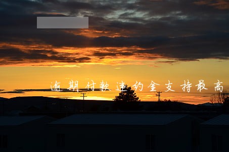 逾期付款违约金支持最高到本金
