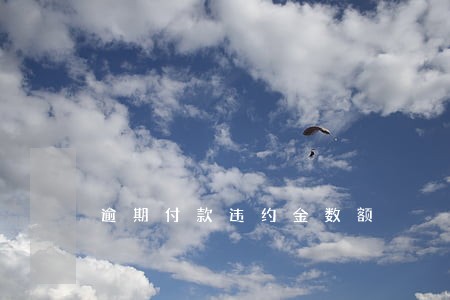 逾期付款违约金数额 逾期付款违约金数额