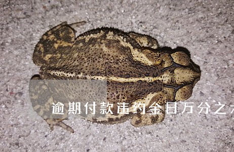 逾期付款违约金日万分之六