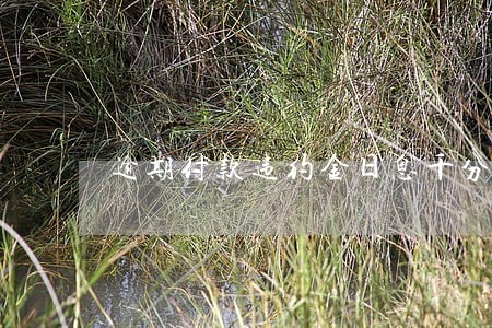 逾期付款违约金日息千分之三 逾期付款违约金日息千分之三