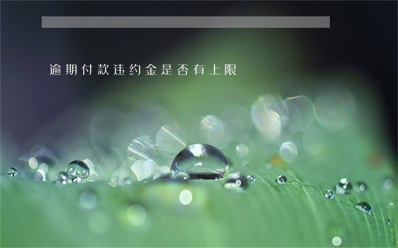 逾期付款违约金是否有上限 逾期付款违约金是否有上限