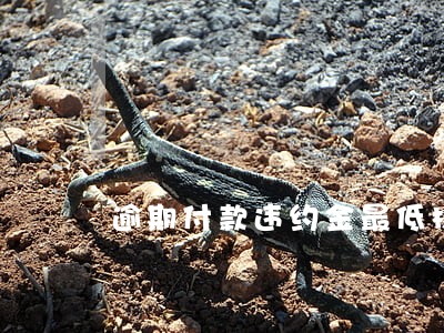 逾期付款违约金最低标准是多少 逾期付款违约金最低标准是多少