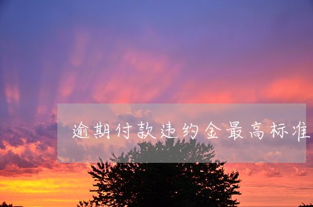 逾期付款违约金最高标准 逾期付款违约金最高标准