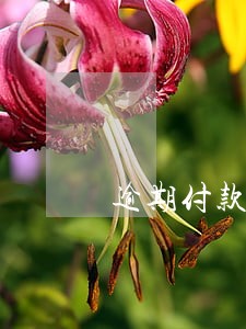 逾期付款违约金有没有高限 逾期付款违约金有没有高限