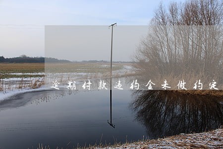 逾期付款违约金未做约定的