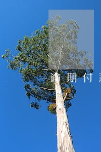 逾期付款违约金标准案例 逾期付款违约金标准案例