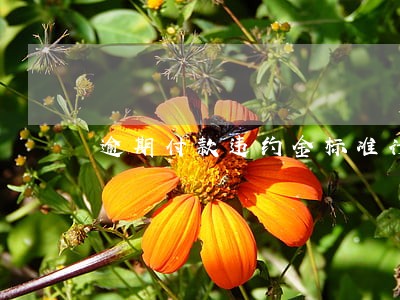 逾期付款违约金标准计算器 逾期付款违约金标准计算器