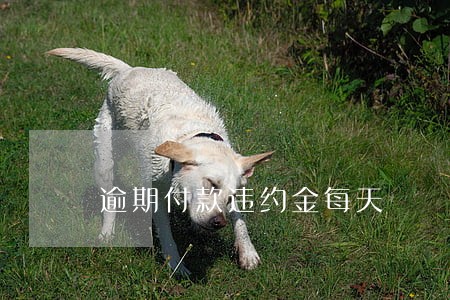 逾期付款违约金每天 逾期付款违约金每天