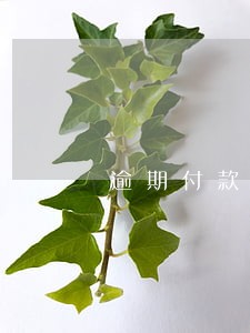 逾期付款违约金每日万分之四 逾期付款违约金每日万分之四