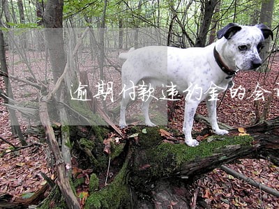逾期付款违约金的会计处理 逾期付款违约金的会计处理