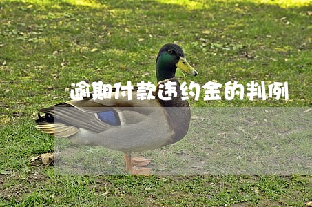 逾期付款违约金的判例 逾期付款违约金的判例