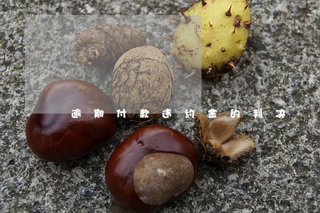 逾期付款违约金的判决 逾期付款违约金的判决