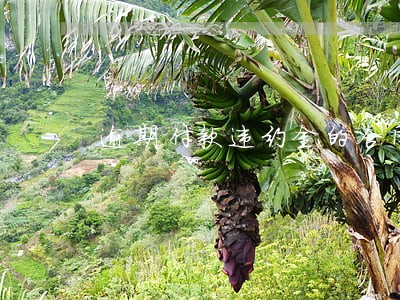 逾期付款违约金的合同 逾期付款违约金的合同