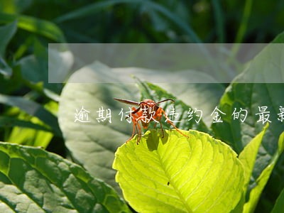 逾期付款违约金的最新表述 逾期付款违约金的最新表述