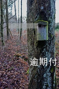 逾期付款违约金的最新规定 逾期付款违约金的最新规定
