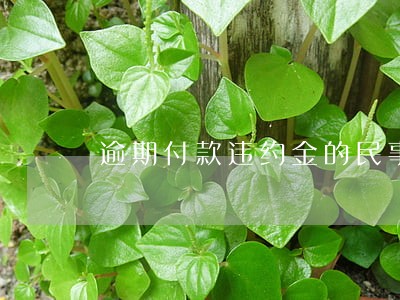 逾期付款违约金的民事判决书 逾期付款违约金的民事判决书