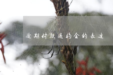 逾期付款违约金的表达 逾期付款违约金的表达