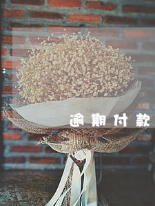 逾期付款违约金的调整认定 逾期付款违约金的调整认定