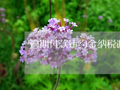 逾期付款违约金纳税调整 逾期付款违约金纳税调整