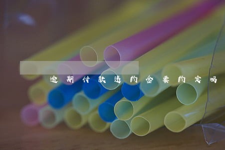 逾期付款违约金要约定吗 逾期付款违约金要约定吗