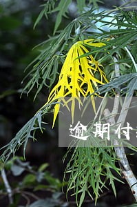 逾期付款违约金计算器 逾期付款违约金计算器