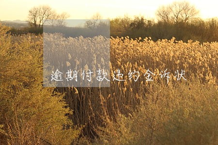 逾期付款违约金诉状 逾期付款违约金诉状