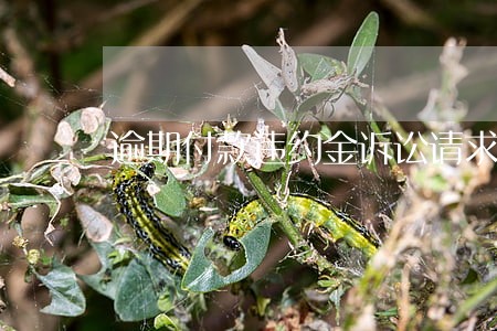逾期付款违约金诉讼请求怎么写