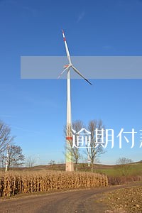 逾期付款违约金调整标准