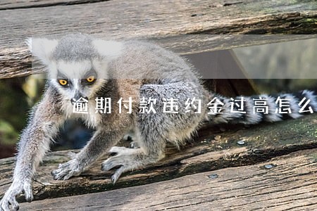 逾期付款违约金过高怎么调整 逾期付款违约金过高怎么调整