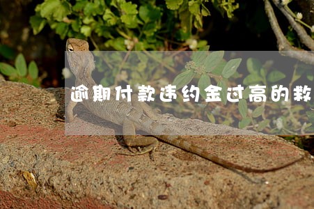 逾期付款违约金过高的救济 逾期付款违约金过高的救济
