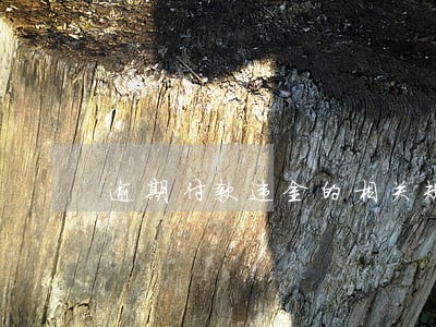 逾期付款违金的相关规定 逾期付款违金的相关规定