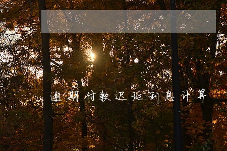 逾期付款迟延利息计算 逾期付款迟延利息计算