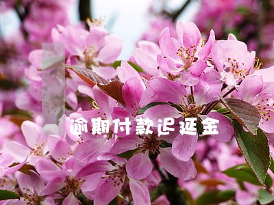 逾期付款迟延金 逾期付款迟延金